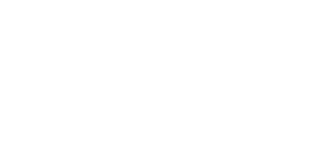 sentry